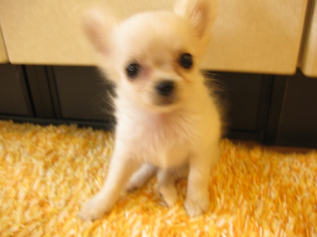 はじめまして★