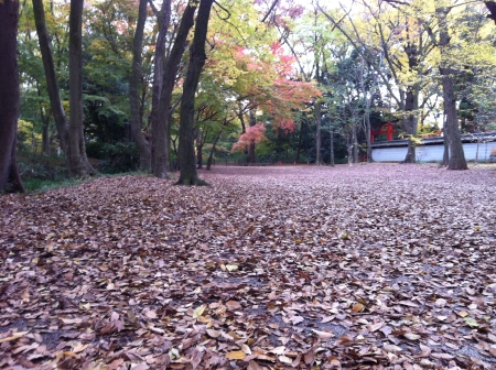 下賀茂神社の参道ですよ。