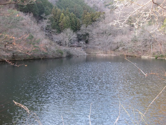 「本当にここって岐阜けえ？」って思いたくなるですやろー