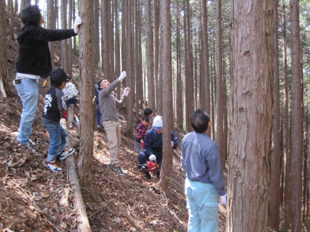 方向よーし