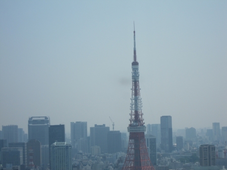 決してアンテナが風になびいているわけではありません、　　　　　　　・・・・・　曲がっているのです。