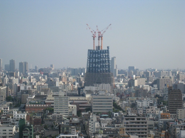 もうほとんど　要塞！　の感覚です。完成したらすごいんやろうねえ！