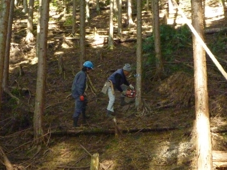 まず倒す方からこうやって切り込みを入れてやな！えか！