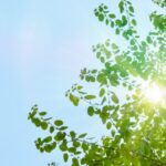 太陽光発電をどう考える？