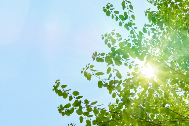 太陽光発電をどう考える？
