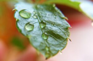 梅雨時の除湿のお話し
