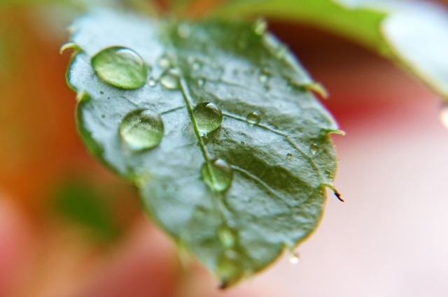 梅雨時の除湿のお話し